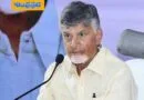 Union Budget | దేశ భవిష్యత్‌కు ఈ బడ్జెట్‌ బ్లూ ప్రింట్ – చంద్ర‌బాబు