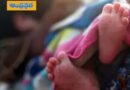 Palnadu : చిన్నారిపై పందికొక్కుల దాడి.. క‌న్నుమూత