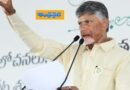 AP | కూటమి ప్రభుత్వం తొలి ఏడాది పాలనపై సమీక్షకు రంగం సిద్ధం