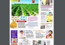 Andhra Prabha Smart Edition |గోల్డెన్ లీఫ్ /సీఎంది /నో ఎంట్రీ/చంపేస్తం