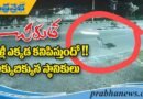 Ibrahimbagh | మిలిటరీ ప్రాంతంలో చిరుత క‌ల‌క‌లం..