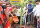 MDK | చందులాపూర్ లో వ‌న‌మ‌హోత్స‌వం.. మొక్క‌లు నాటిన క‌లెక్ట‌ర్