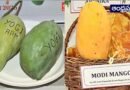 Mango Festival | మోదీ, యోగి బ్రాండ్ పేరుతో మామిడిపండ్లు