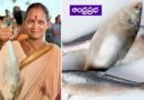 Pulasa Fish | గోదావ‌రిలో పుల‌స – అకాశాన్ని అంటుతున్న ధ‌ర