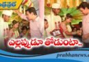 ఇదొక ప్రత్యేకమైన అనుభూతి..