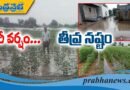 భారీ వర్షం.. తీవ్ర నష్టం