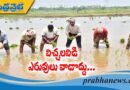 విచ్చ‌ల‌విడి ఎరువులు వాడొద్దు..