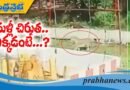మళ్లీ చిరుత