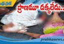 రోడ్డు ప్రమాదం రైతు మృతి..