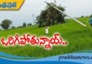 విద్యుత్ స్తంభాలు ఇలా.. రైతుల అవస్థలు తీరేదెలా?