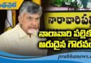 అభినందించిన‌ సీఎం చంద్ర‌బాబు..