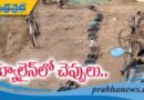 యూరియా కోసం తిప్పలు..