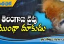 రాష్ట్రవ్యాప్తంగా భారీ వర్షాల హెచ్చరిక..