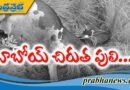 రాత్రి అడవిలో ఏం జరిగింది..?