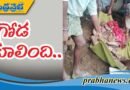వృద్ధురాలి దుర్మ‌ర‌ణం