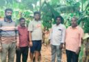 banana plantation | జిల్లా అరటి రైతులను ఆదుకోవాలి