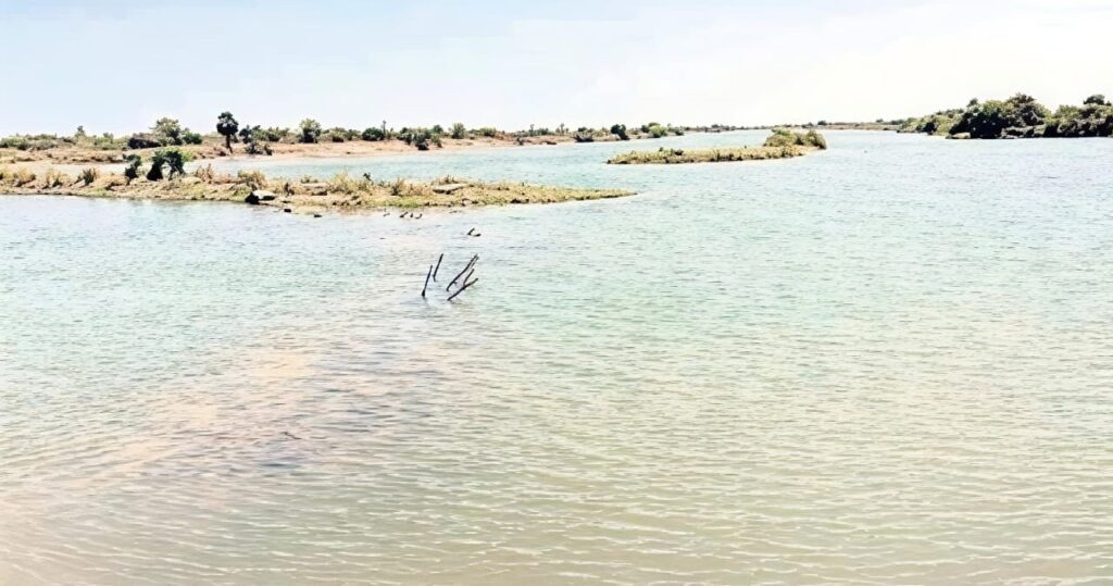 Pulicat Lake  Efect 