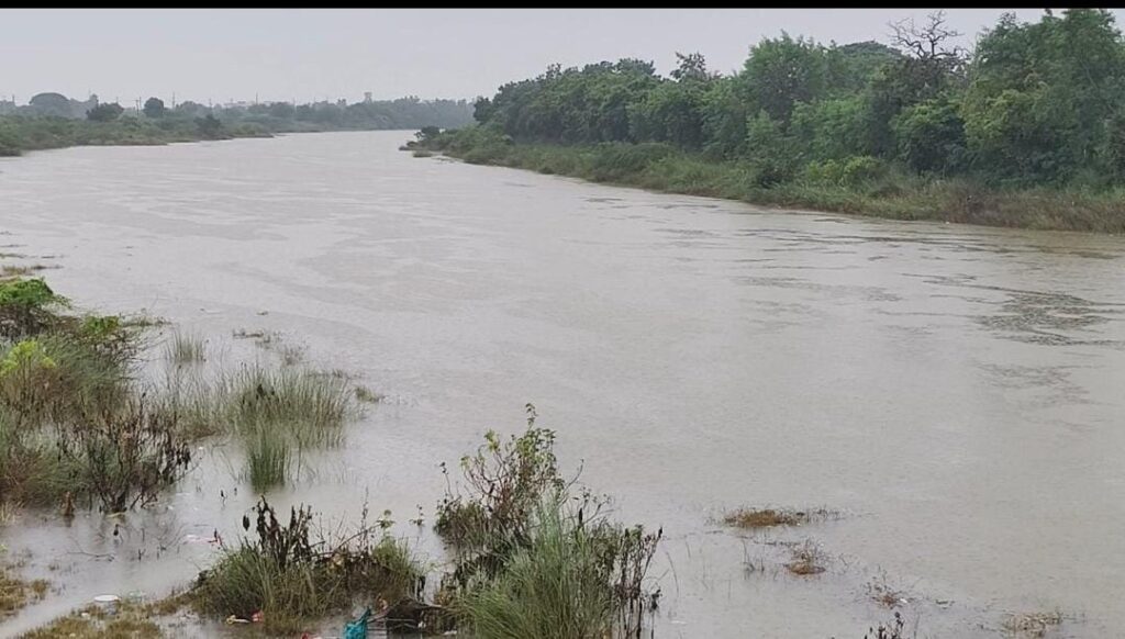Pulicat Lake  Efect 