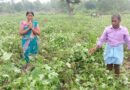 రైతు క‌ష్టం ధ్వంసం