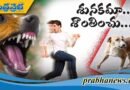 రెండేళ్ల కాలంలో 1117 కుక్కకాటు బాధితులు…