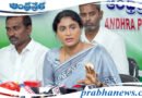Sharmila Quationer : అమరావతిలో రియల్ లూటీ