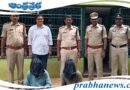 Arrest | 20 ఎర్రచందనం దుంగలు స్వాధీనం..