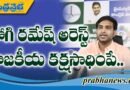 మళ్ళీ వచ్చేది వైసీపీ ప్రభుత్వమే..