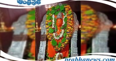 Brahmotsavam |అంజన్న బ్రహ్మోత్సవానికి సర్వం సిద్ధం