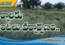 ప్రభుత్వం అన్నదాతలను ఆదుకోవాలని వేడుకోలు…
