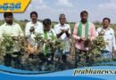 పత్తి రైతులను ఆదుకోవాలి..
