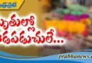 కాశీబుగ్గ దుర్ఘటనపై సీఎం దిగ్ర్భాంతి ..కేంద్ర మంత్రి రామ్మోహన్ నాయుడు విచారం