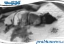 Murder | శ్రీకాళహస్తిలో మహిళ దారుణ హత్య