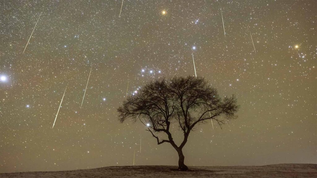 Geminids Show