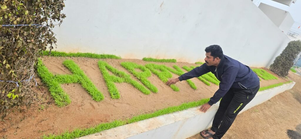 Green Welcome