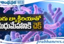 500 millions | పేగు బ్యాక్టీరియాతో మధుమేహానికి చెక్!