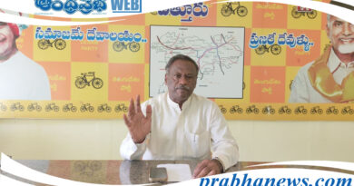 TDP State Spokesperson