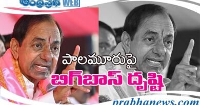 Pink Bigg Boss KCR
