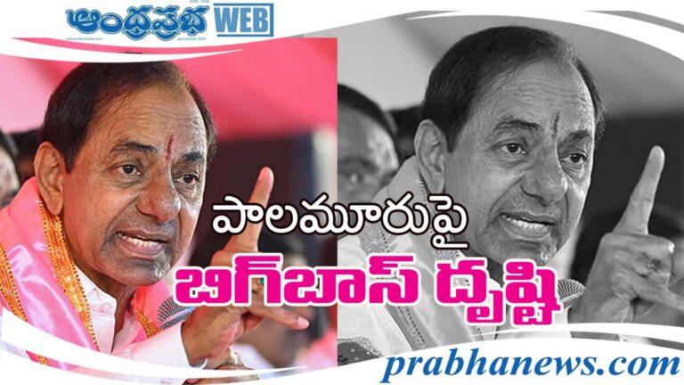 Pink Bigg Boss KCR