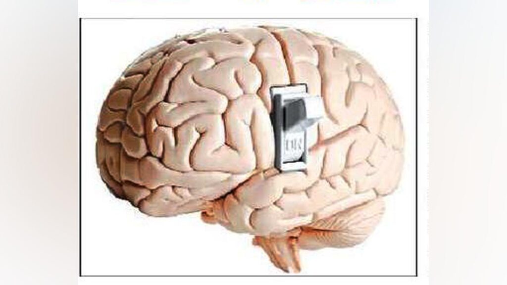 Brain Switch