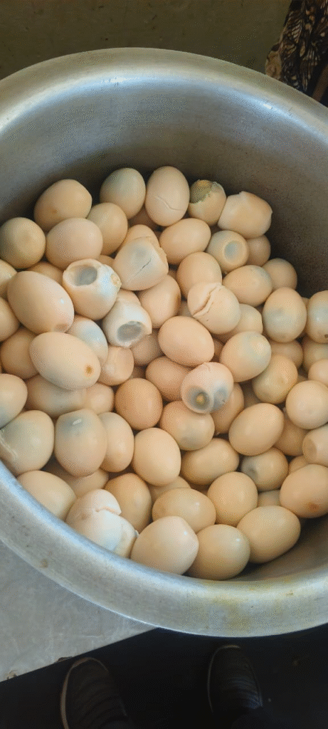 Not following the menu | 