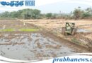 Rice crop planting | యాసంగి పంటలకు సిద్ధమవుతున్న రైతన్నలు
