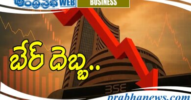 Domestic stock markets