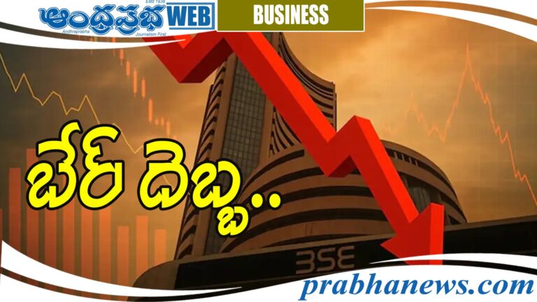 Domestic stock markets