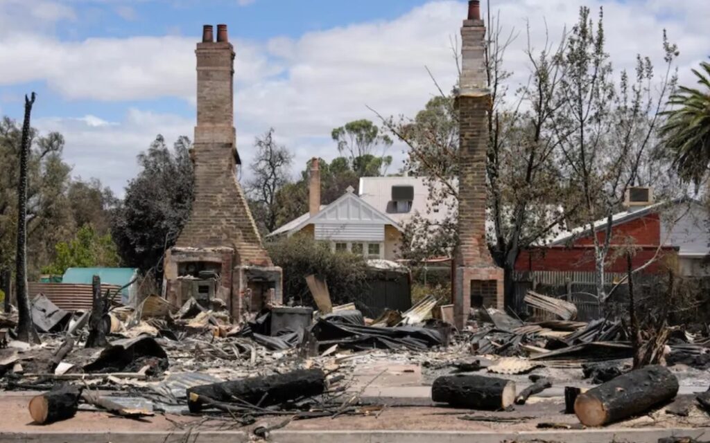 Asis Mega Bush fires