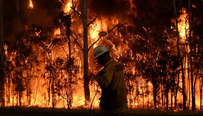 Asis Mega Bush fires