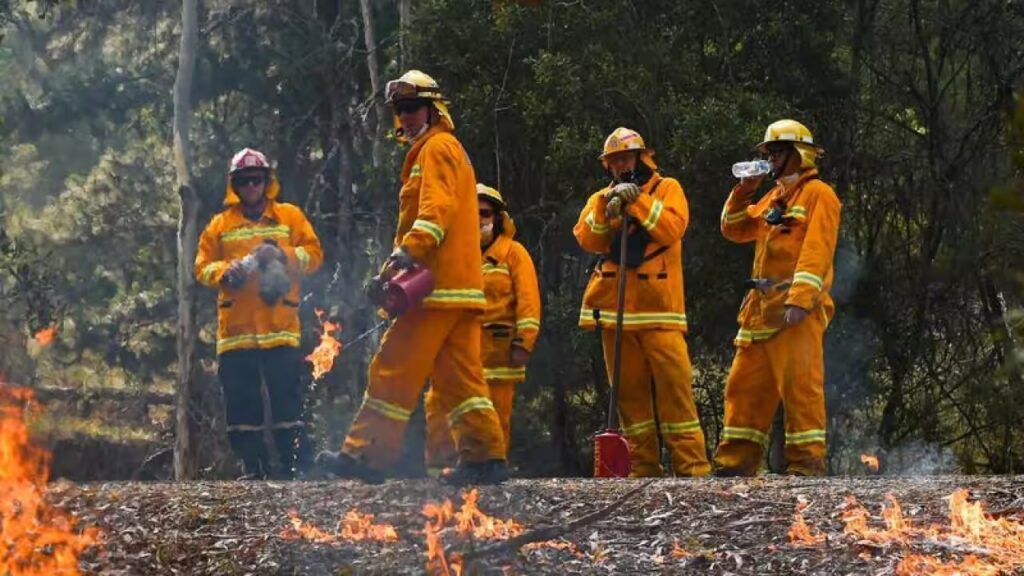 Asis Mega Bush fires