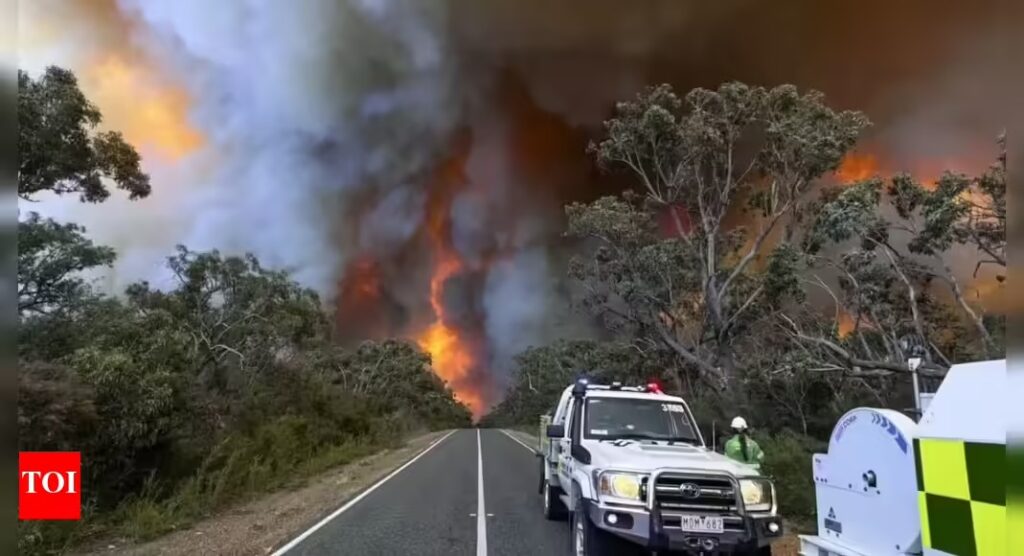Asis Mega Bush fires