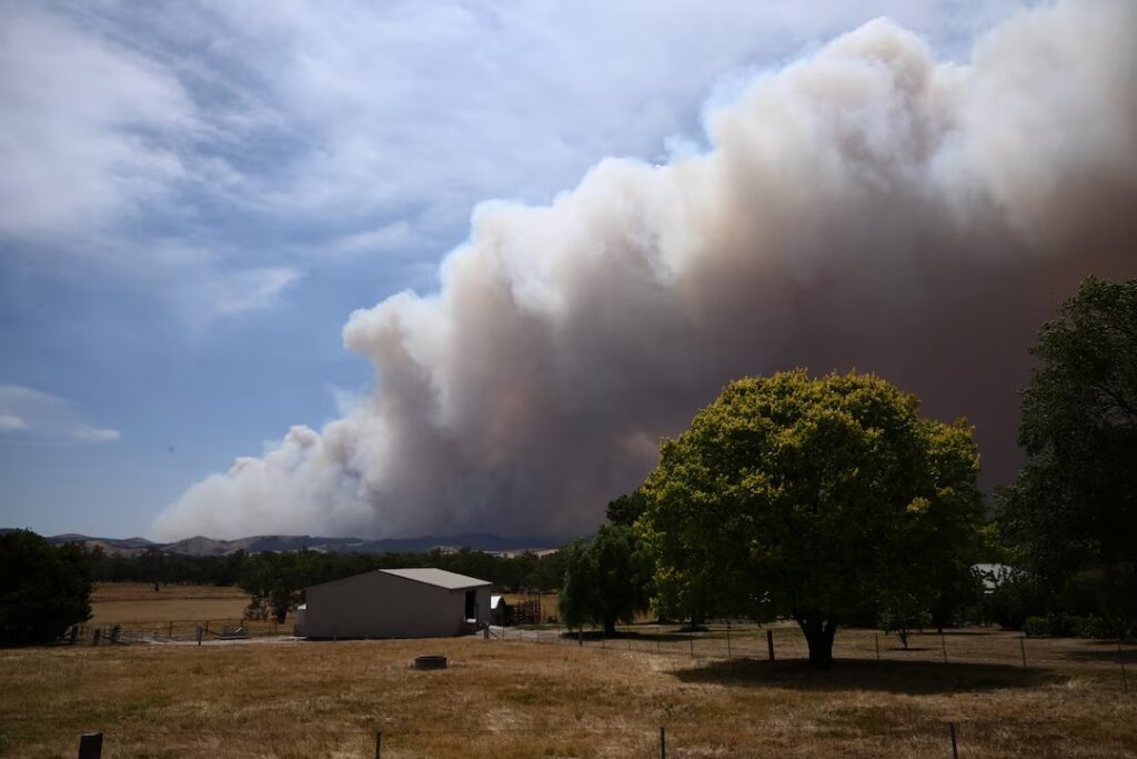 Asis Mega Bush fires
