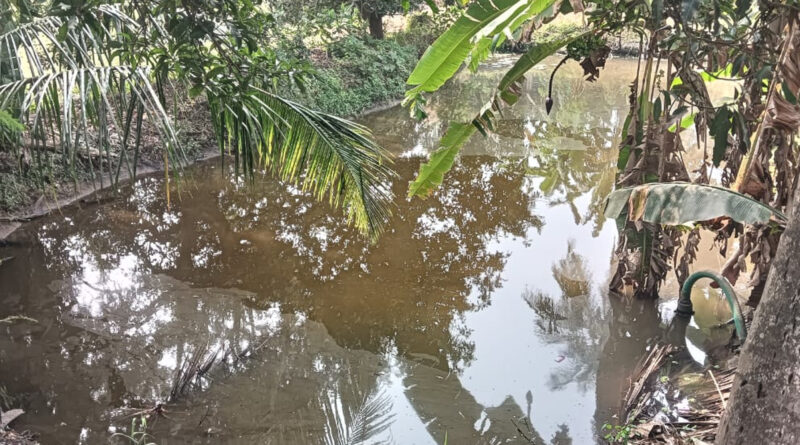 Mopidevi