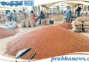 Paddy Purchase | కర్నూలు జిల్లాలో కందుల కొనుగోళ్లు…